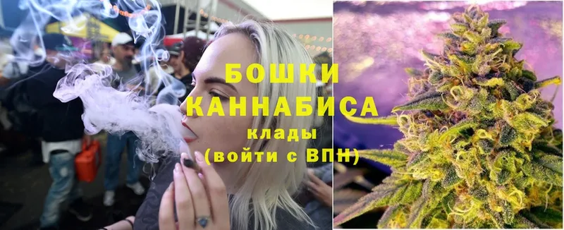 Бошки марихуана OG Kush  где купить наркоту  Иннополис 